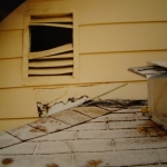 Raccoon tore through gable vent to get in attic.